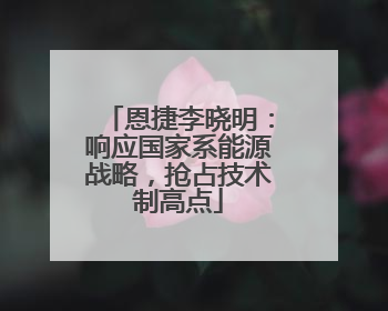 恩捷李晓明：响应国家系能源战略，抢占技术制高点