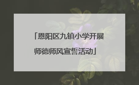 恩阳区九镇小学开展师德师风宣誓活动