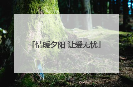 情暖夕阳 让爱无忧