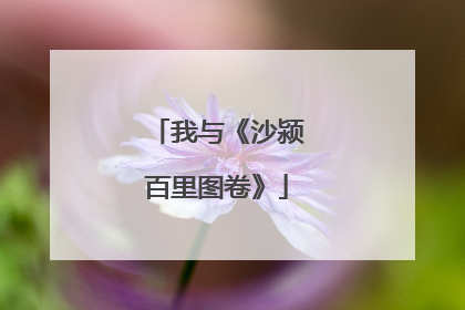 我与《沙颍百里图卷》