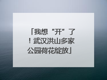 我想“开”了！武汉洪山多家公园荷花绽放
