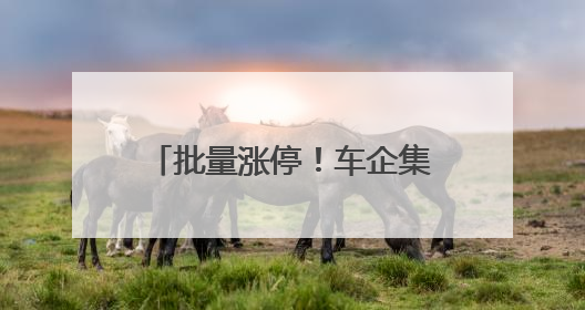 批量涨停！车企集中承诺60天支付