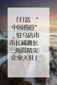打造 “中国药谷”，驻马店市市长诚邀长三角高精尖企业入驻