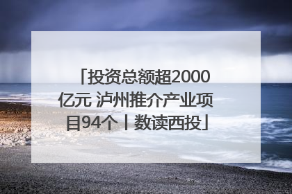 投资总额超2000亿元 泸州推介产业项目94个丨数读西投