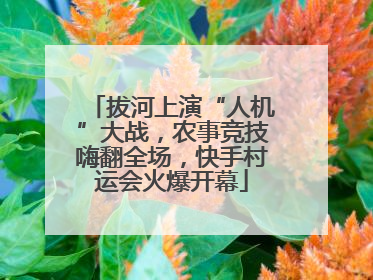 拔河上演“人机”大战，农事竞技嗨翻全场，快手村运会火爆开幕