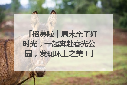 招募啦｜周末亲子好时光，一起奔赴春光公园，发现环上之美！