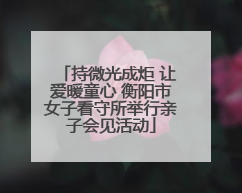 持微光成炬 让爱暖童心 衡阳市女子看守所举行亲子会见活动