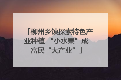 柳州乡镇探索特色产业种植 “小水果”成富民“大产业”