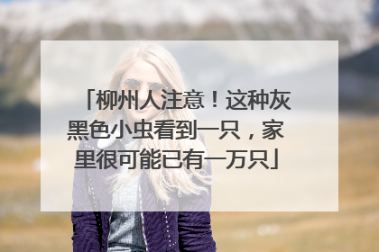 柳州人注意！这种灰黑色小虫看到一只，家里很可能已有一万只