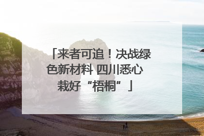 来者可追！决战绿色新材料 四川悉心栽好“梧桐”