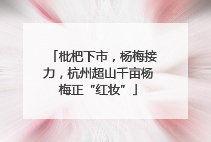 枇杷下市，杨梅接力，杭州超山千亩杨梅正“红妆”