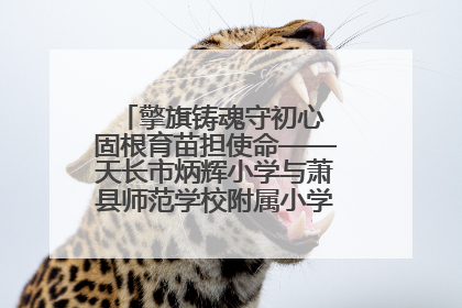 擎旗铸魂守初心 固根育苗担使命——天长市炳辉小学与萧县师范学校附属小学结对共建活动纪实