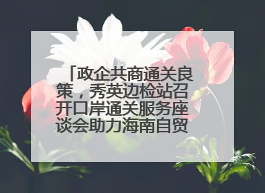 政企共商通关良策，秀英边检站召开口岸通关服务座谈会助力海南自贸港建设