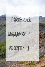 敦煌万亩盐碱地变“希望田”