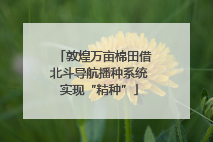 敦煌万亩棉田借北斗导航播种系统实现“精种”