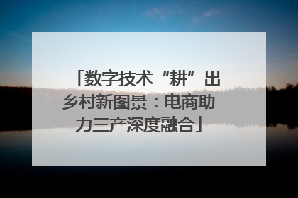 数字技术“耕”出乡村新图景：电商助力三产深度融合
