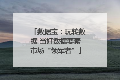 数据宝：玩转数据 当好数据要素市场“领军者”