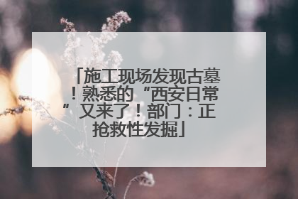 施工现场发现古墓！熟悉的“西安日常”又来了！部门：正抢救性发掘