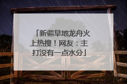 新疆旱地龙舟火上热搜！网友：主打没有一点水分