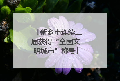 新乡市连续三届获得“全国文明城市”称号