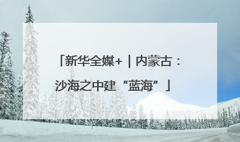 新华全媒+｜内蒙古：沙海之中建“蓝海”
