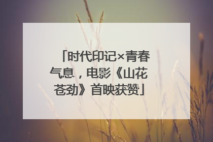时代印记×青春气息，电影《山花苍劲》首映获赞