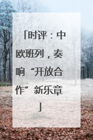 时评：中欧班列，奏响“开放合作”新乐章