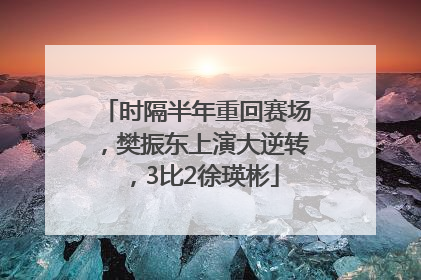 时隔半年重回赛场，樊振东上演大逆转，3比2徐瑛彬