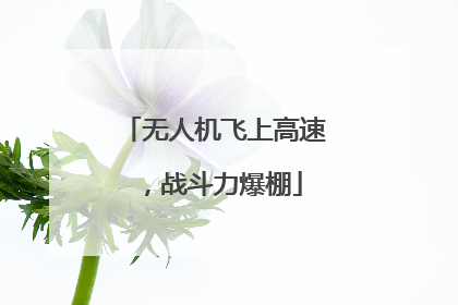 无人机飞上高速，战斗力爆棚