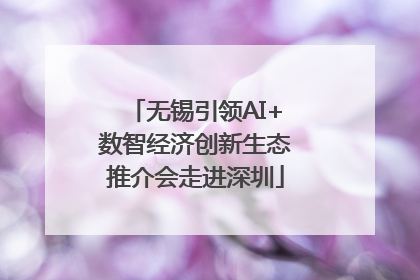 无锡引领AI+数智经济创新生态推介会走进深圳