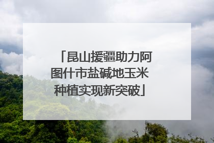 昆山援疆助力阿图什市盐碱地玉米种植实现新突破