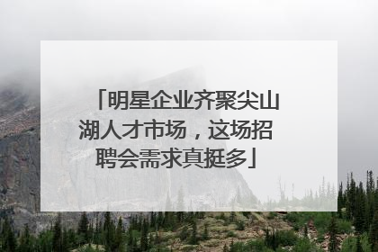 明星企业齐聚尖山湖人才市场，这场招聘会需求真挺多