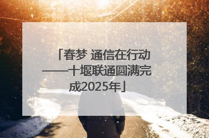 春梦 通信在行动——十堰联通圆满完成2025年