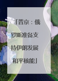 普京：俄罗斯准备支持伊朗发展和平核能