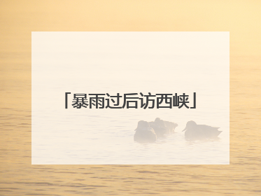 暴雨过后访西峡