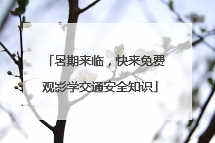 暑期来临，快来免费观影学交通安全知识