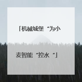 机械城堡“为小麦智能“控水“