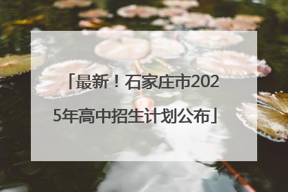 最新！石家庄市2025年高中招生计划公布