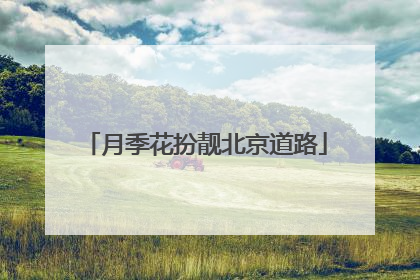 月季花扮靓北京道路