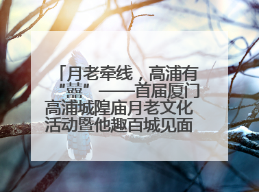 月老牵线，高浦有“囍”——首届厦门高浦城隍庙月老文化活动暨他趣百城见面会隆重举办