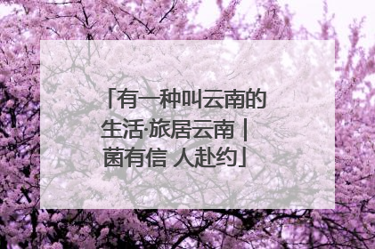 有一种叫云南的生活·旅居云南｜菌有信 人赴约