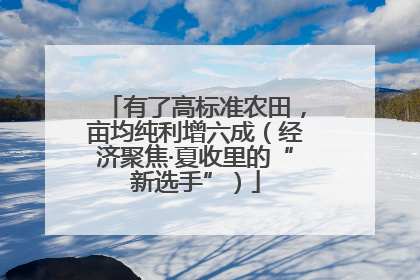 有了高标准农田，亩均纯利增六成（经济聚焦·夏收里的“新选手”）