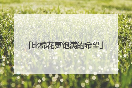 比棉花更饱满的希望