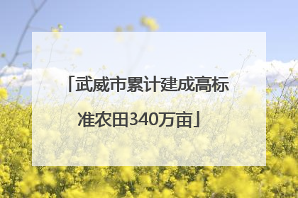 武威市累计建成高标准农田340万亩