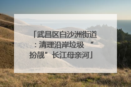 武昌区白沙洲街道：清理沿岸垃圾 “扮靓”长江母亲河