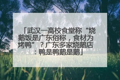 武汉一高校食堂称“烧鹅饭是广东俗称，食材为烤鸭”？广东多家烧鹅店：鸭是鸭鹅是鹅