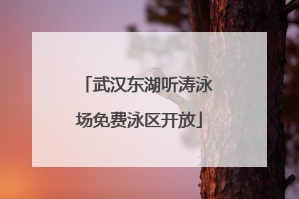 武汉东湖听涛泳场免费泳区开放