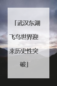 武汉东湖飞鸟世界迎来历史性突破