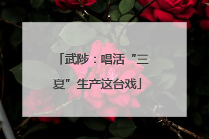 武陟：唱活“三夏”生产这台戏