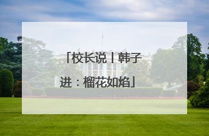 校长说丨韩子进：榴花如焰
